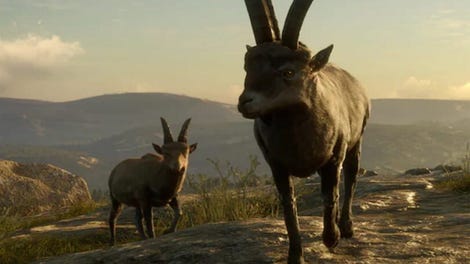 TheHunter: Call of the Wild - Cuatro Colinas Game Reserve