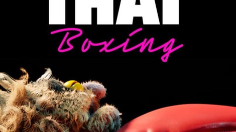 Felt That: Boxing