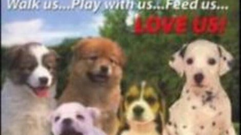 I Love Puppies!