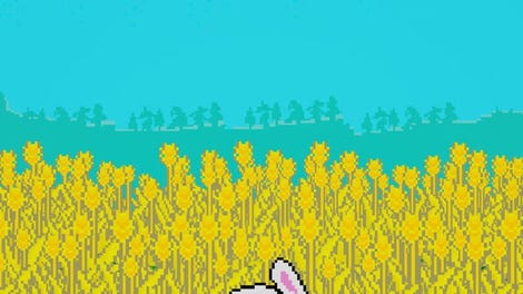 Jolly Bunny's Adventure