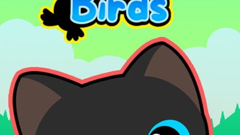 Kitty Loves Birds