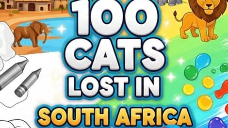 100 Cats Lost in South Africa