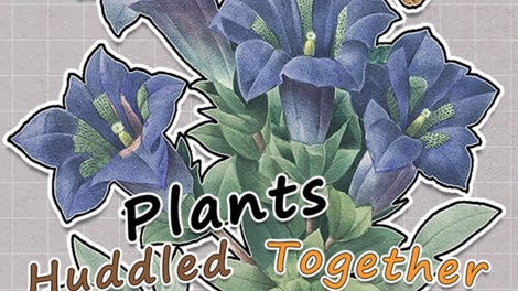 Plants Huddled Together