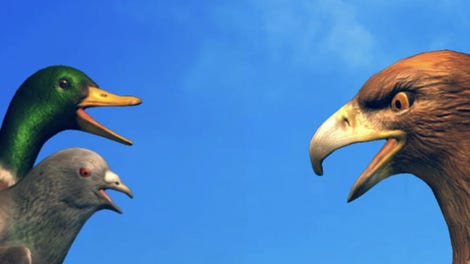 Bird Simulator
