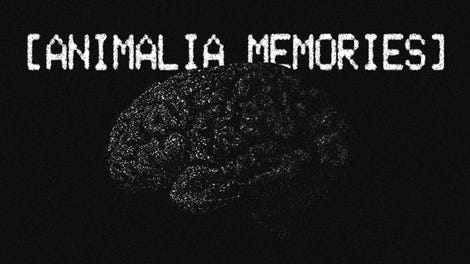 Animalia Memories