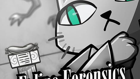 Feline Forensics and the Meowseum Mystery
