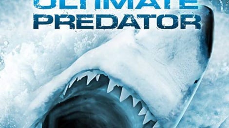 Jaws: Ultimate Predator - Kotaku