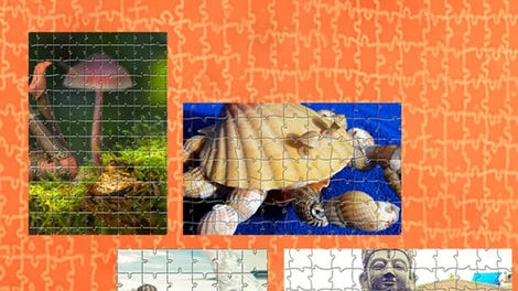 Pixel Puzzles Ultimate: Variety Pack 18