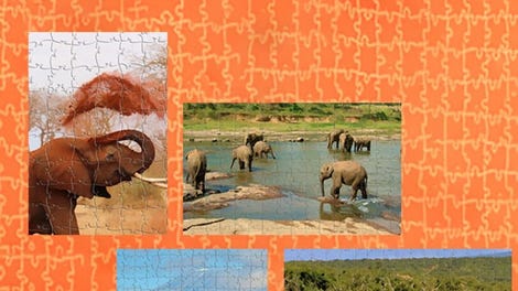 Pixel Puzzles Ultimate: Elephants