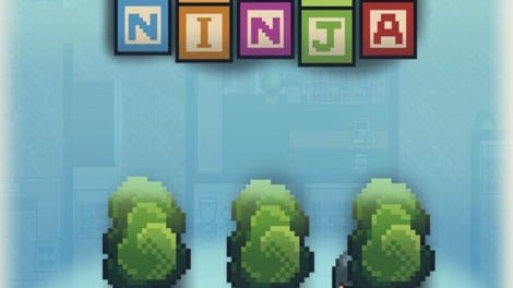 Little Ninja