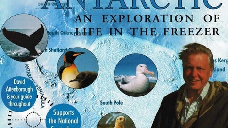 Attenborough's Antarctic: An Exploration of Life in the Freezer