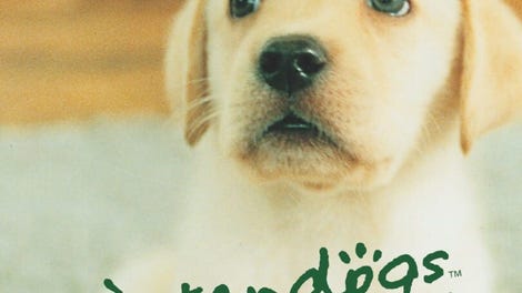Nintendogs: Labrador & Friends