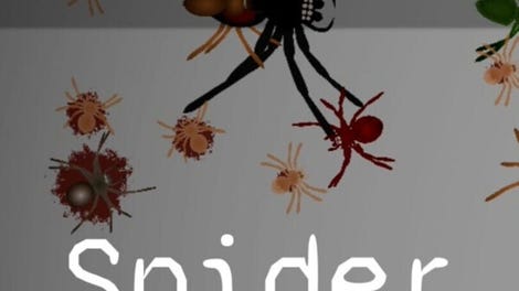 Spider Crisis
