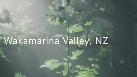 Wakamarina Valley, New Zealand