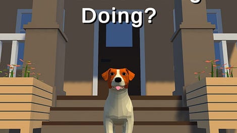 What's the Dog Doing?