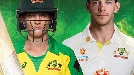 Cricket 22