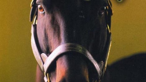 Gallop Racer 2004