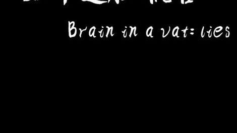 Brain in a Vat Lies