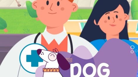 Dog Veterinary: Training Hospital Near Me