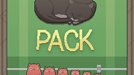 Pack