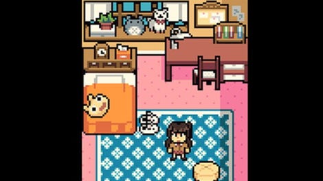 The Dream Diary