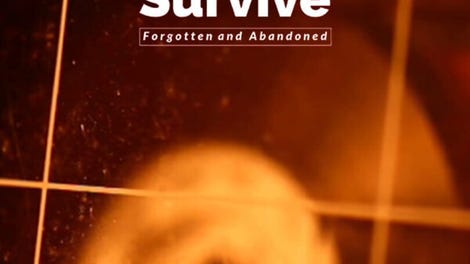 Survive: Forgotten and Abandoned