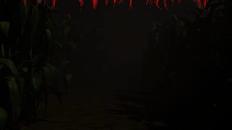 The Corn Maze