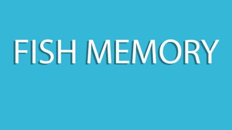 Fish Memory