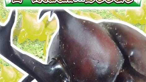 Attack on Beetle