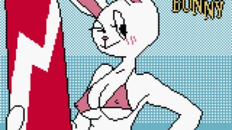 Surfer Bunny