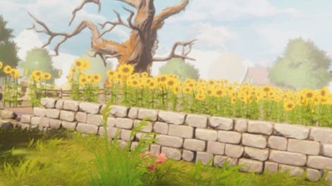 Cozy Fields