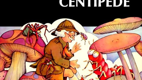 Centipede
