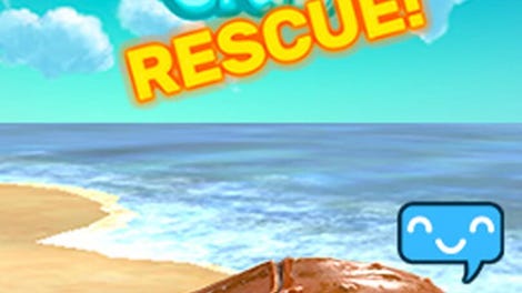 Horseshoe Crab Rescue!