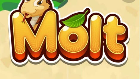 Molt