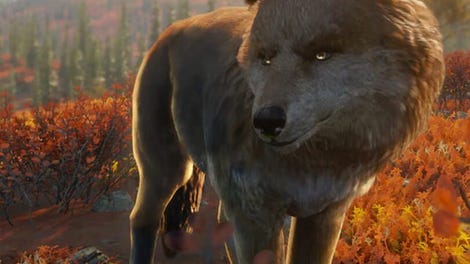 TheHunter: Call of the Wild - Yukon Valley