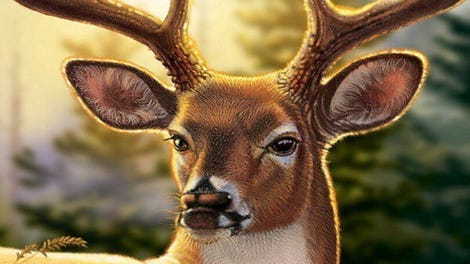 Big Buck Hunter Arcade