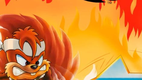 Zero the Kamikaze Squirrel