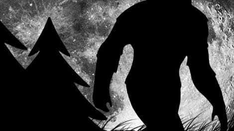 Search 4 Bigfoot