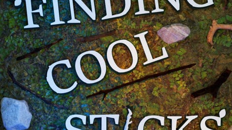 Finding Cool Sticks