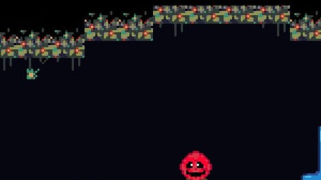 FlowerRock