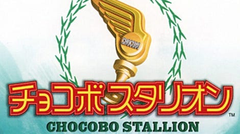 Chocobo Stallion