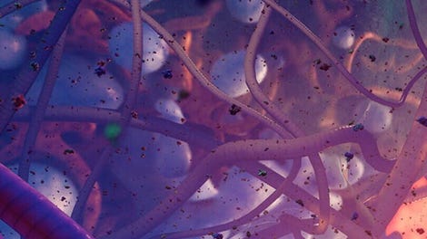 Nanoscape