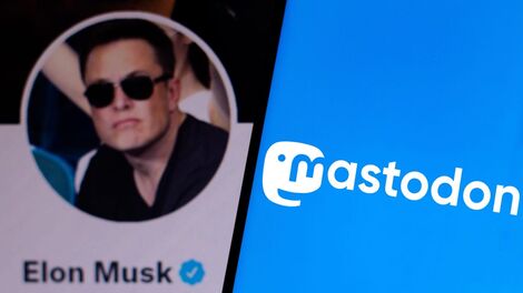 Blocked Nazis and Boring Billionaires: What It's Really Like on Mastodon and Post