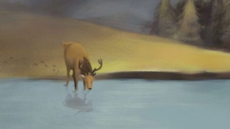 The Deer