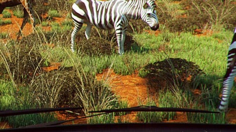Safari Park Ranger