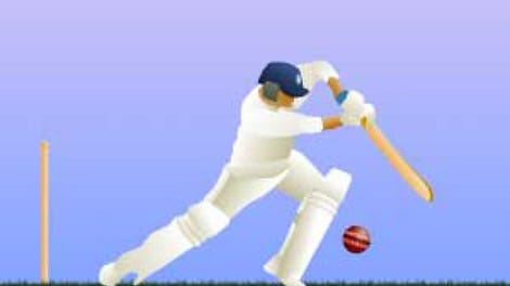 Little Master Cricket