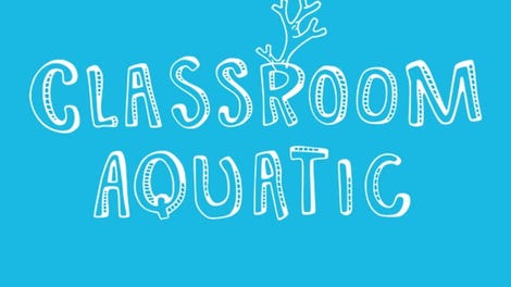 Classroom Aquatic