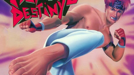 Fighter Destiny 2