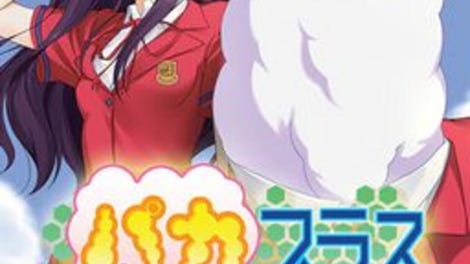 Paca Plus
