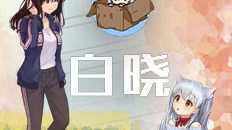 白晓